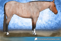 Horse Color:Bay Roan Tobiano 