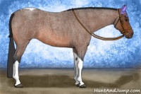 Horse Color:Bay Roan Tobiano