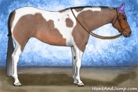 Horse Color:Bay Roan Tobiano 