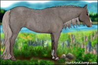 Horse Color:Silver Blue Roan Sabino