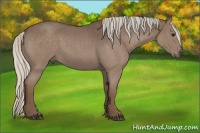 Horse Color:Silver Blue Roan Sabino