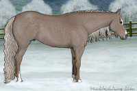 Horse Color:Silver Blue Roan Sabino 