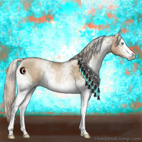Horse Color:White Spotted Chocolate Palomino Pearl Rabicano