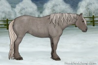 Horse Color:Silver Blue Roan Sabino 