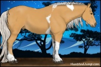 Horse Color:Silver Buckskin Tobiano 