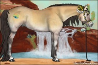 Horse Color:Buckskin Onyx 