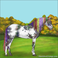 Horse Color:Painted Nacre White Spotted Black Splash Tobiano Frame 