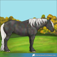 Horse Color:Midnight Cremello 