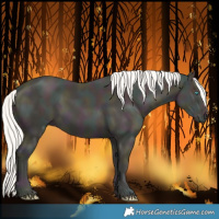 Horse Color:Midnight Cremello 