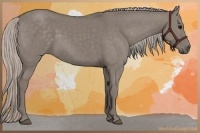 Horse Color:Silver Grullo