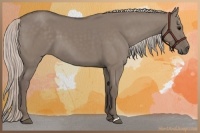 Horse Color:Silver Grullo 