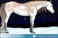 Horse Color:White Spotted Brown Pearl Dun Splash Rabicano Brindle