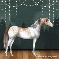 Horse Color:White Spotted Brown Pearl Rabicano 