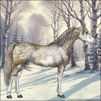 Horse Color:Chocolate Palomino Ice Mushroom Sabino 