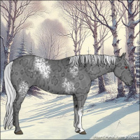 Horse Color:White Spotted Silver Black Chinchilla Ice 