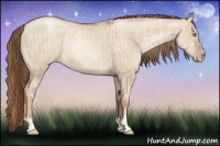 Horse Color:Gold Champagne Pearl Dun Rabicano  and Liver Red Dun Pearl Rabicano 