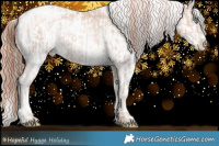 Horse Color:Sable Champagne Pearl Mushroom Rabicano  and Sable Champagne Pearl Mushroom Appaloosa Rabicano 