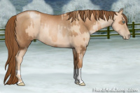Horse Color:Gold Champagne Pearl Rabicano and Gray Gold Champagne Pearl Rabicano