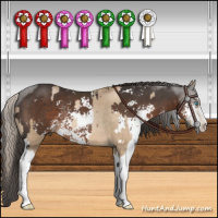 Horse Color:Chocolate Palomino Pearl Sabino Rabicano  and Liver Chestnut Sabino Rabicano 
