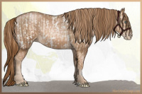 Horse Color:Gold Champagne Pearl Appaloosa Rabicano and Liver Chestnut Pearl Rabicano