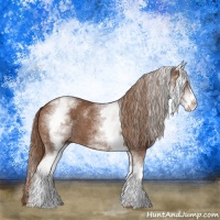 Horse Color:White Spotted Chestnut Sabino