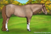Horse Color:Liver Chestnut Pearl Rabicano  and Liver Chestnut Pearl Rabicano 