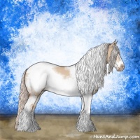 Horse Color:Silver Bay Dun Sabino Tobiano Frame Rabicano 