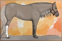 Horse Color:Silver Grullo 
