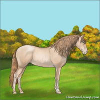Horse Color:Gold Champagne Pearl Rabicano  and Gold Champagne Pearl Rabicano 