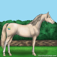 Horse Color:Gold Champagne Pearl Rabicano  and Gold Champagne Pearl Rabicano 