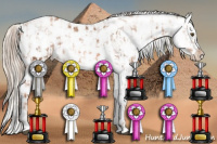 Horse Color:Liver Chestnut Pearl Sabino Tobiano Appaloosa Rabicano and Gray White Spotted Gold Cream Champagne Pearl Tobiano Appaloosa Rabicano