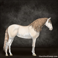 Horse Color:Gold Champagne Pearl Dun Rabicano  and Gold Champagne Pearl Dun Splash Rabicano 