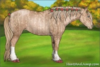 Horse Color:Gold Champagne Pearl Rabicano  and Liver Chestnut Pearl Rabicano 