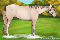 Horse Color:Gold Champagne Pearl Rabicano and Gold Champagne Pearl Rabicano