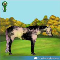 Horse Color:Void Watercolor Brown Splash Tobiano Frame Rabicano 