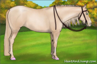 Horse Color:Gold Champagne Pearl Rabicano  and Gold Champagne Pearl Splash Rabicano 
