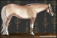 Horse Color:Silver Blue Onyx Pearl