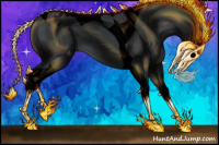 Horse Color:Void Black Tobiano Appaloosa