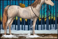 Horse Color:Gold Champagne Pearl Rabicano and Sable Champagne Pearl Rabicano