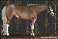Horse Color:Silver Brown Sabino 