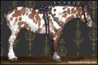 Horse Color:White Spotted Chocolate Silver Brown Near Leopard Rabicano 