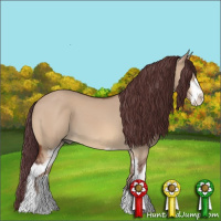 Horse Color:Chocolate Bay Dun Sabino 