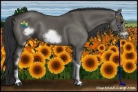 Horse Color:White Spotted Grullo Sabino Frame Rabicano 