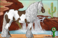 Horse Color:Chocolate Palomino Rabicano and Chocolate Palomino Dun Tobiano Appaloosa Rabicano Brindle