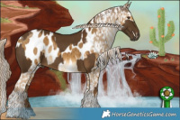 Horse Color:Chocolate Palomino Rabicano  and Chocolate Palomino Dun Tobiano Appaloosa Rabicano Brindle 