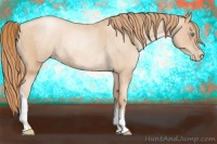 Horse Color:Gold Champagne Pearl Rabicano  and Gold Champagne Roan Pearl Rabicano 