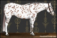 Horse Color:Chocolate Bay Leopard 