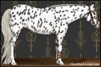 Horse Color:Liver Chestnut Mushroom Near Leopard 