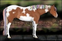 Horse Color:Painted Silver Bay Tobiano Frame Rabicano 