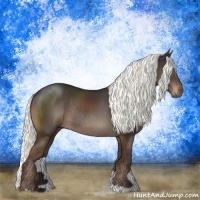 Horse Color:Liver Chestnut Mushroom Rabicano 